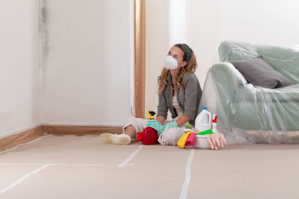 Reliable Mold Removal contractor in Katy, TX by WQB Mold Removal